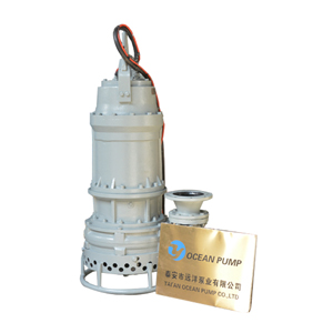 Submersible slurry pump with agitator